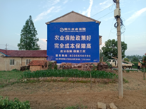 浏阳墙体广告的优劣势你知道吗？